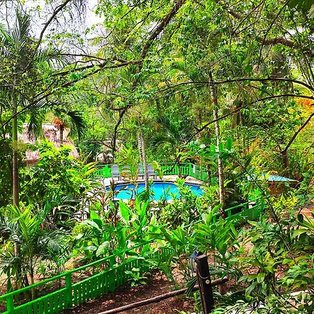 Maya Mountain Lodge 산 이그나시오 외부 사진