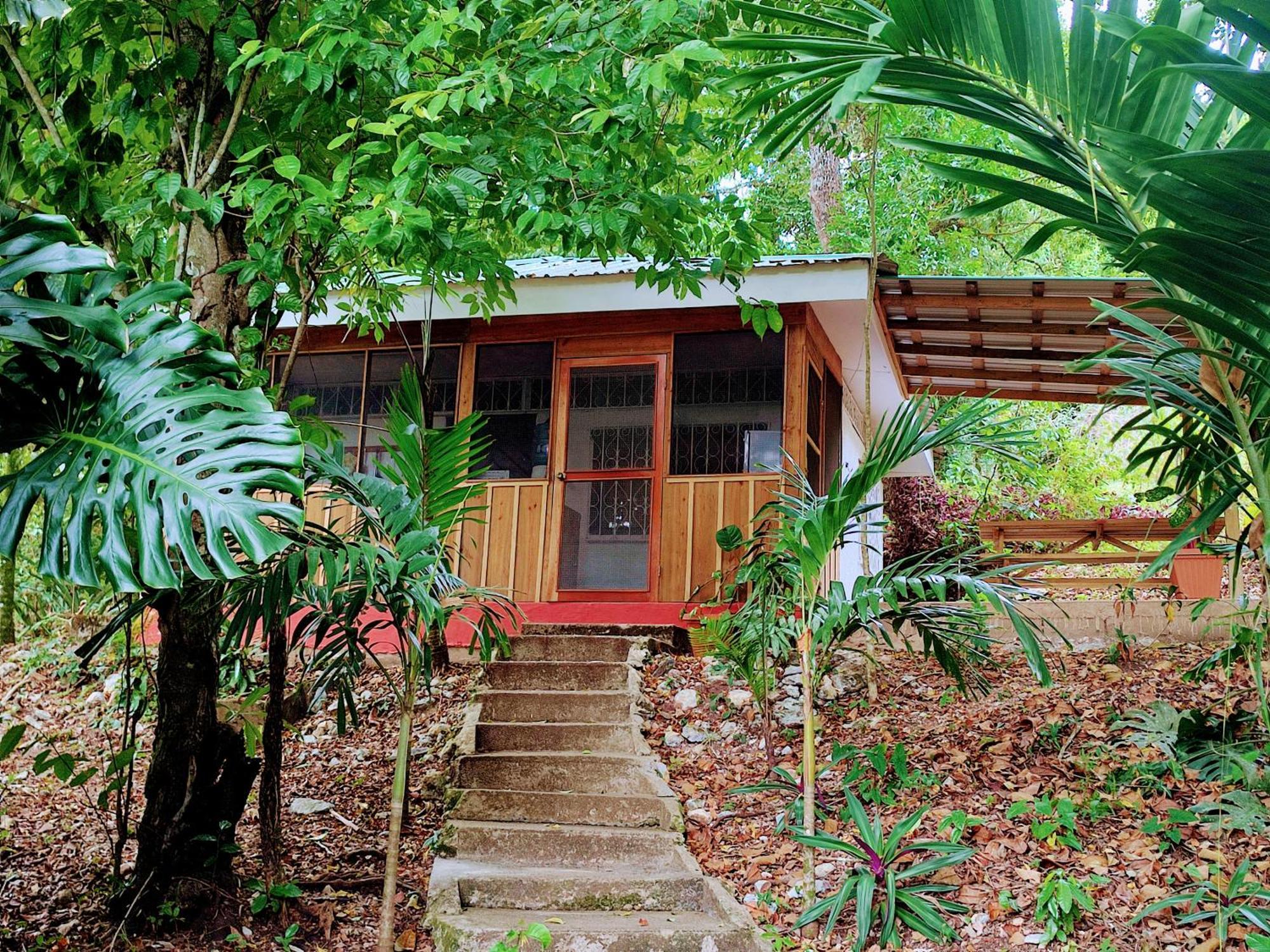 Maya Mountain Lodge 산 이그나시오 외부 사진