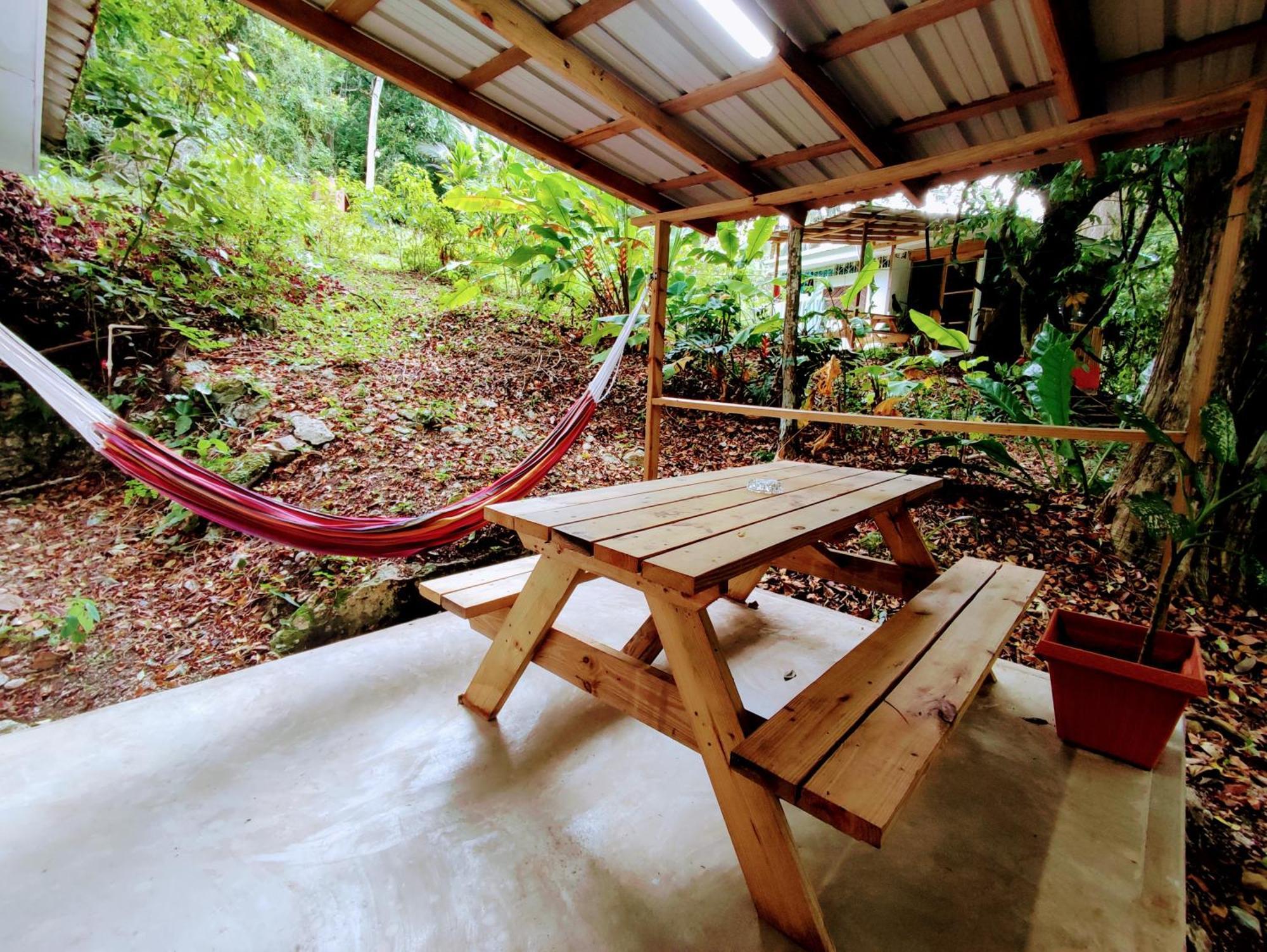 Maya Mountain Lodge 산 이그나시오 외부 사진