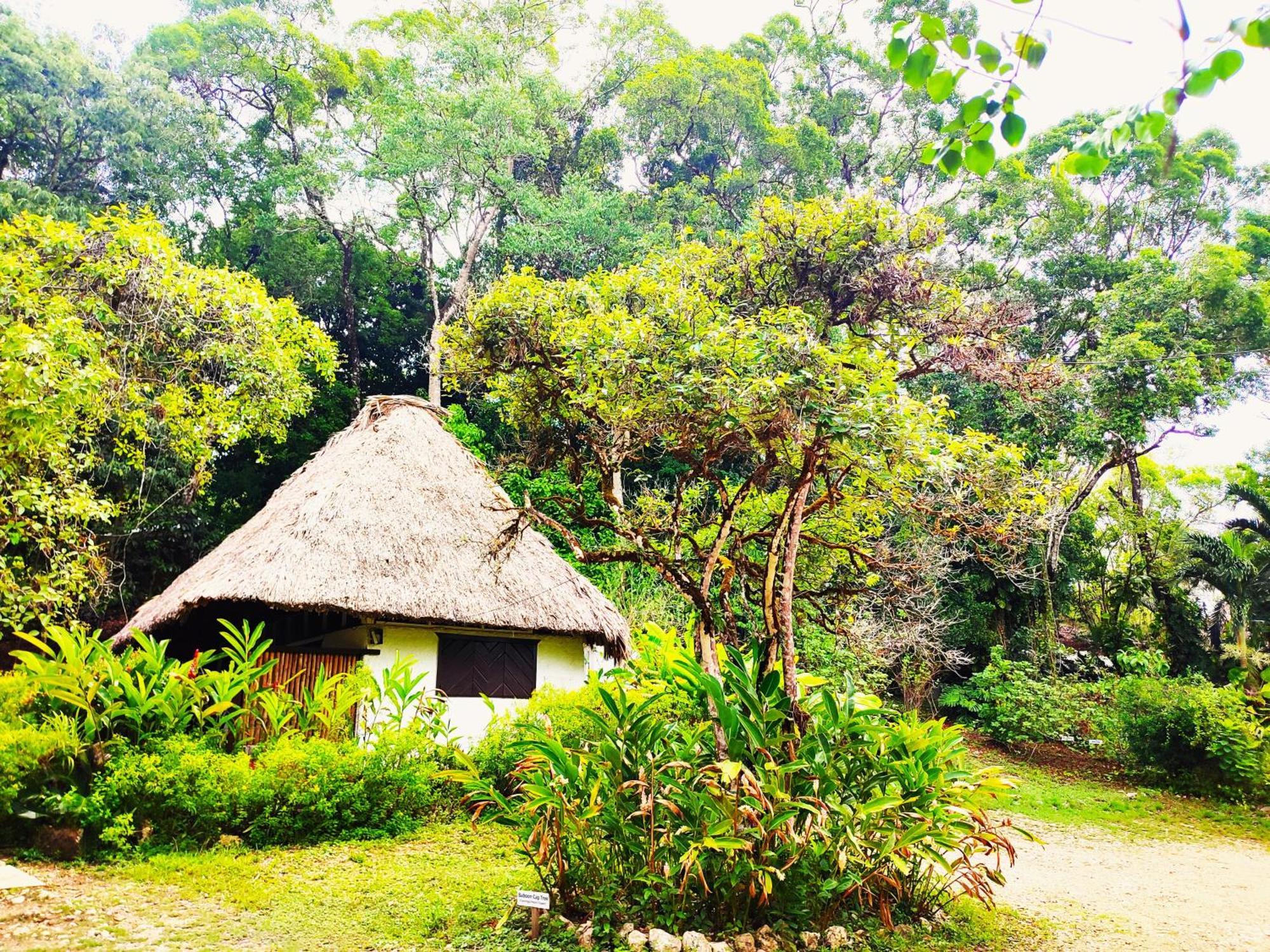 Maya Mountain Lodge 산 이그나시오 외부 사진