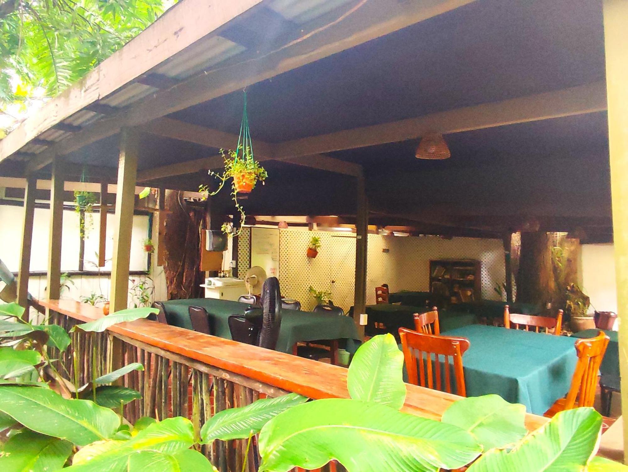 Maya Mountain Lodge 산 이그나시오 외부 사진