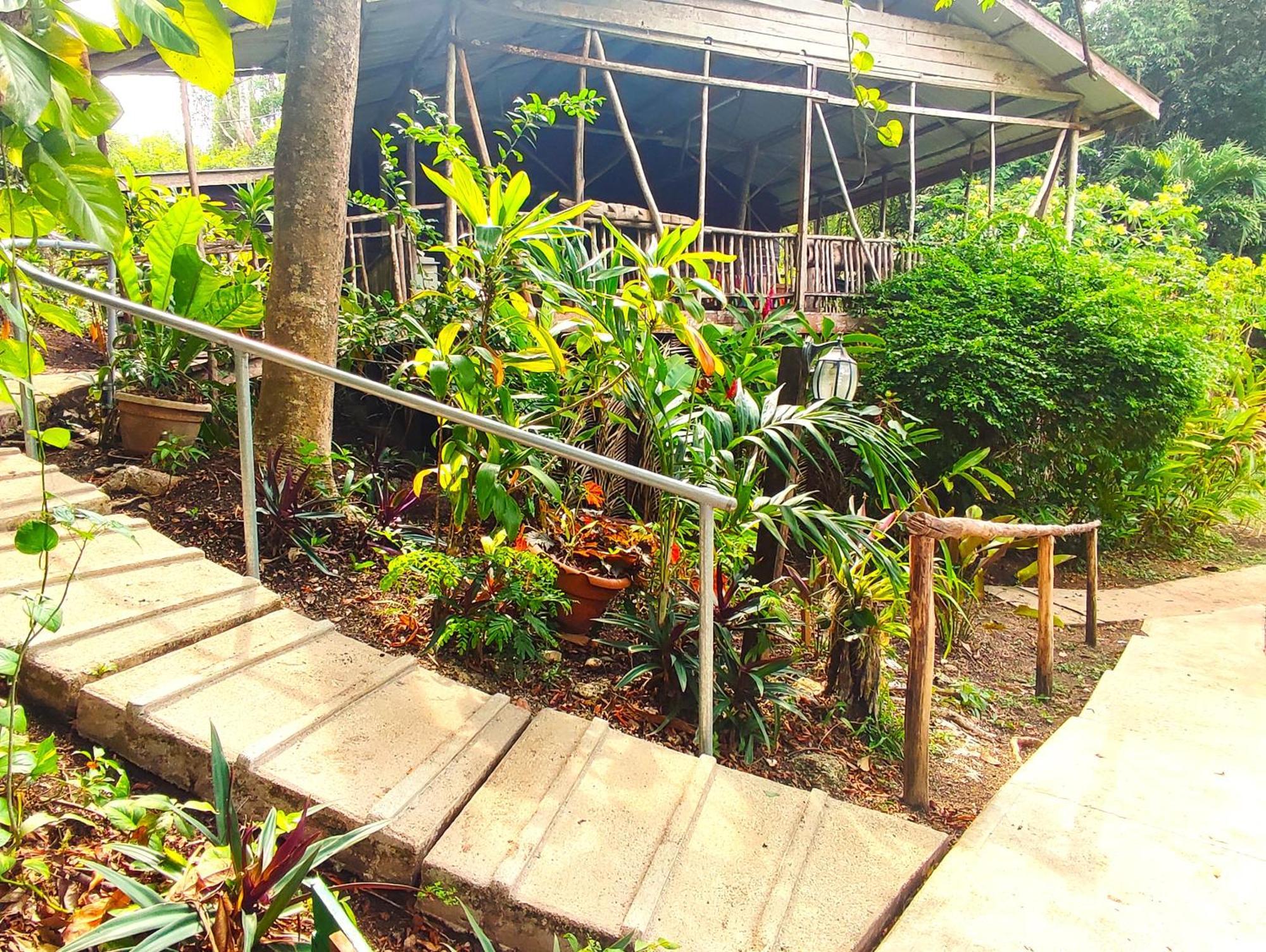 Maya Mountain Lodge 산 이그나시오 외부 사진