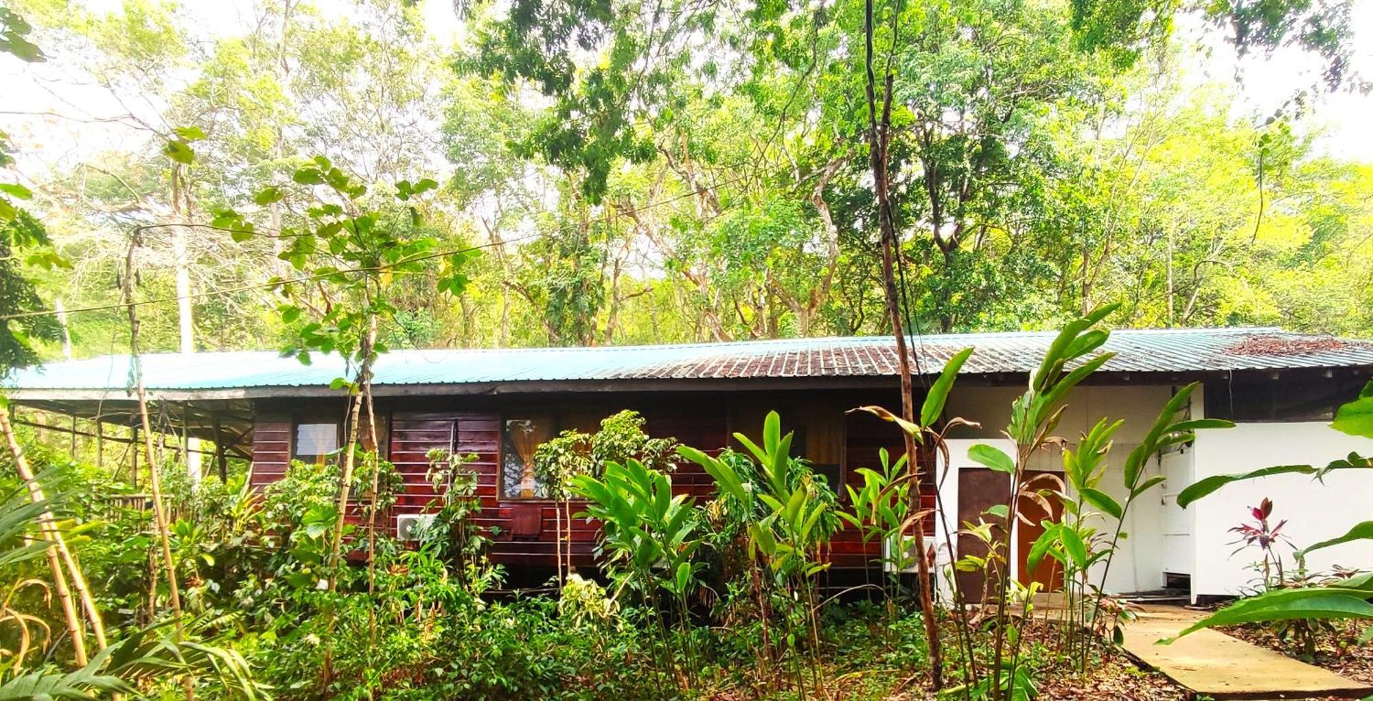 Maya Mountain Lodge 산 이그나시오 외부 사진